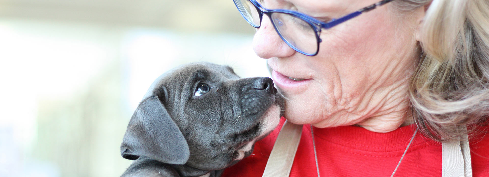 Volunteer cuddline with grey puppy